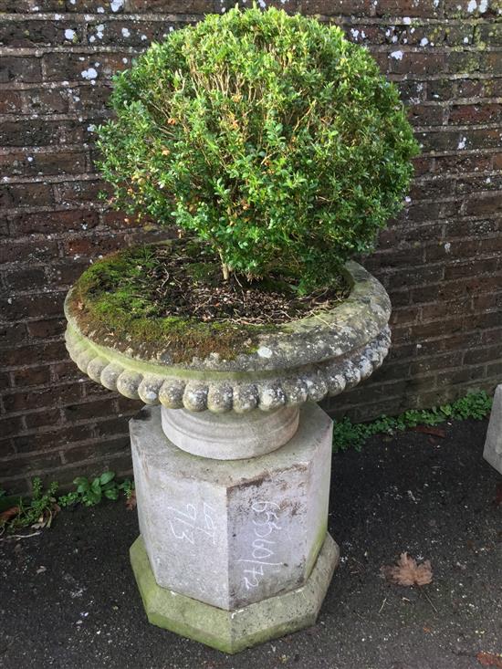 Stone planter on plinth